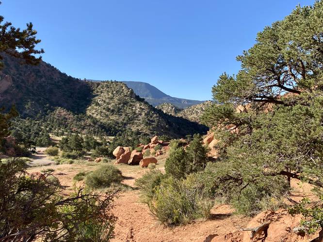 View of the Thunderbird Gardens area