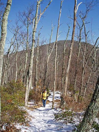 Picture 4 of Tibbet Knob Hike 021007