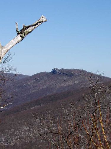 Picture 2 of Tibbet Knob Hike 021007