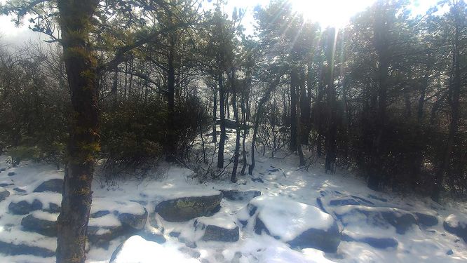 Picture 4 of Tibbet Knob Hike 030219