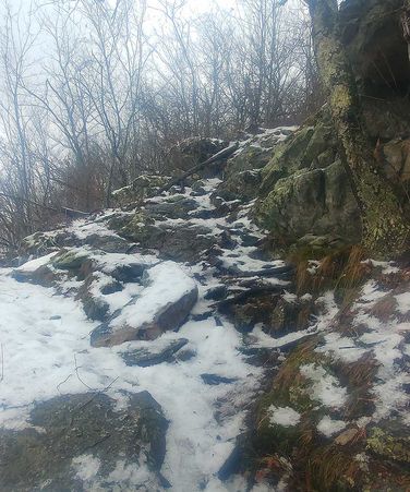 Picture 5 of Tibbet Knob Hike 030219