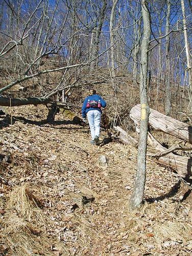 Picture 17 of Tibbet Knob Hike 030406