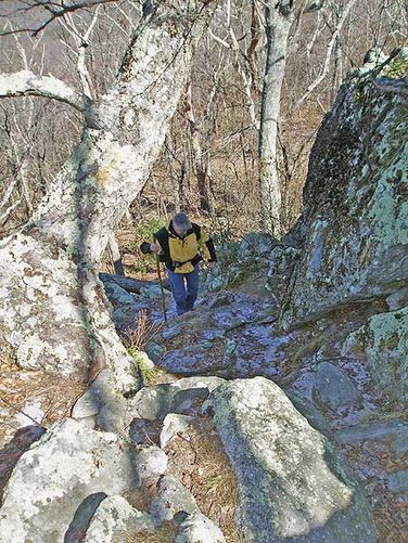 Picture 5 of Tibbet Knob Hike 030406