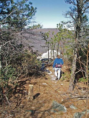 Picture 6 of Tibbet Knob Hike 030406