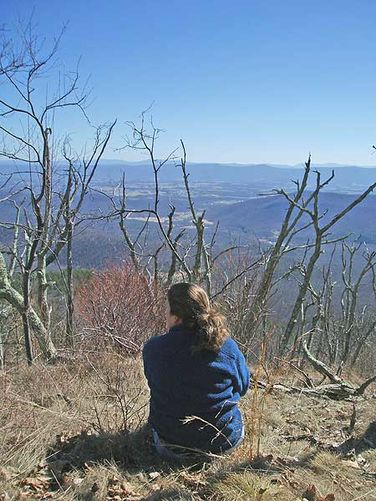 Picture 10 of Tibbet Knob Hike 030406