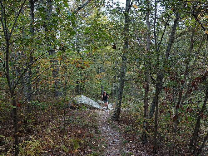 Picture 11 of Tibbet Knob Hike 092813