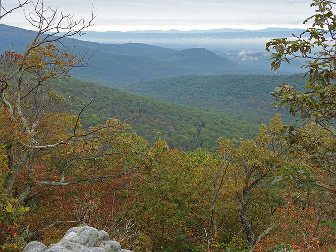 Picture 7 of Tibbet Knob Hike 092813