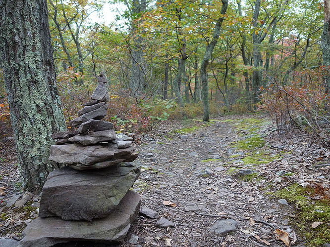 Picture 8 of Tibbet Knob Hike 092813
