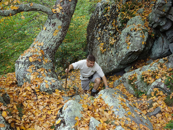 Picture 10 of Tibbet Knob Hike 092813