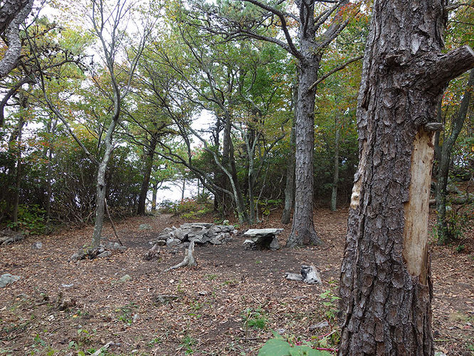 Picture 5 of Tibbet Knob Hike 092813