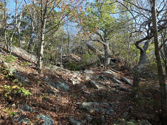 Picture 12 of Tibbet Knob Hike 100719