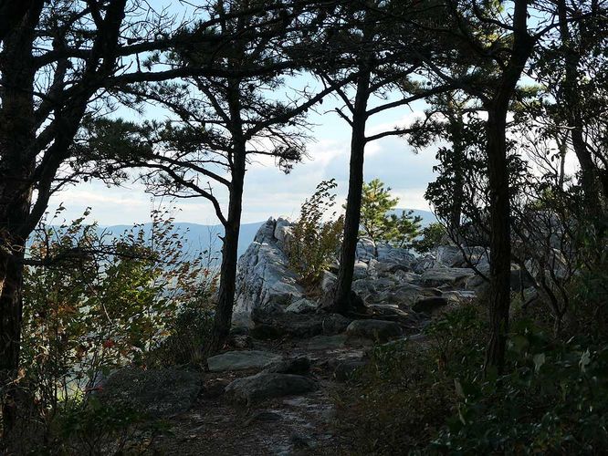 Picture 16 of Tibbet Knob Hike 100719