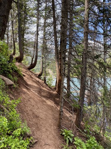 Insanely-steep and sketchy section, would never recommend!