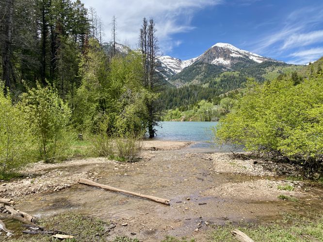 Creek crossing at Mill Canyon Creek
