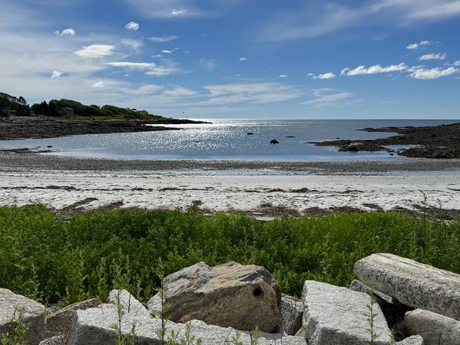 Picture 2 of Timber Point Trail June 20 2026