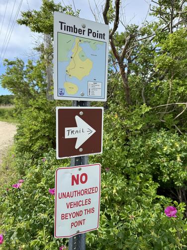 Picture 3 of Timber Point Trail June 20 2026