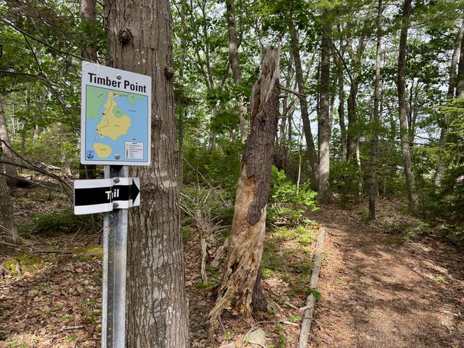 Picture 7 of Timber Point Trail June 20 2026