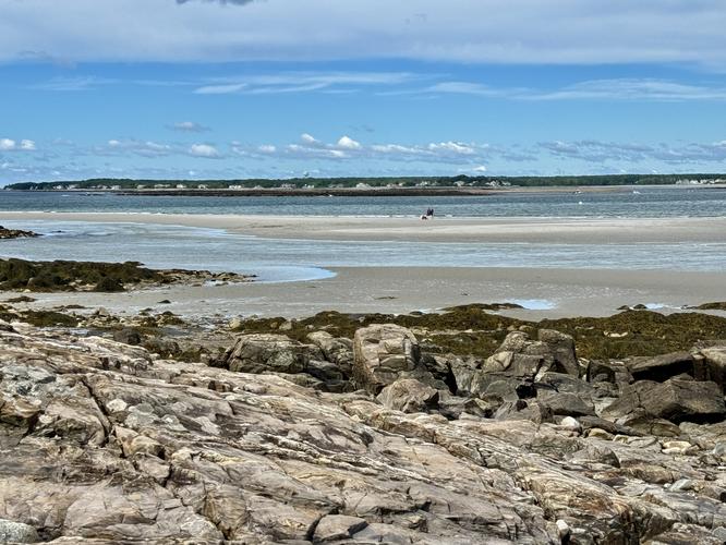 Picture 8 of Timber Point Trail June 20 2026