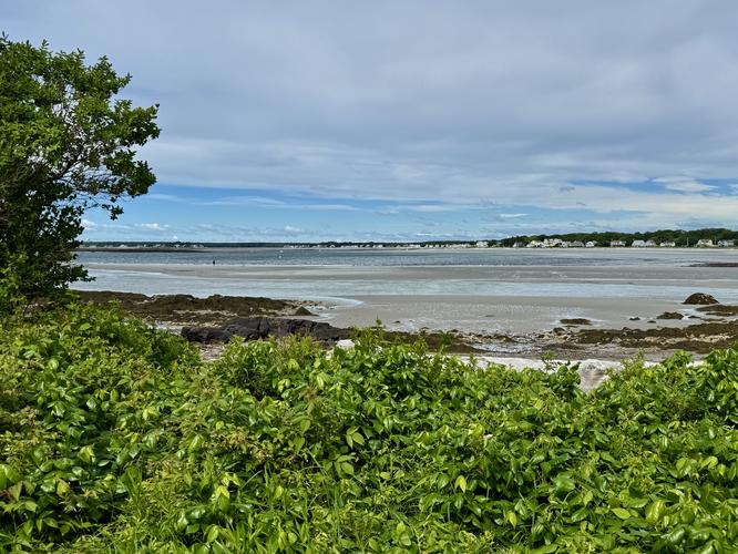 Picture 10 of Timber Point Trail June 20 2026