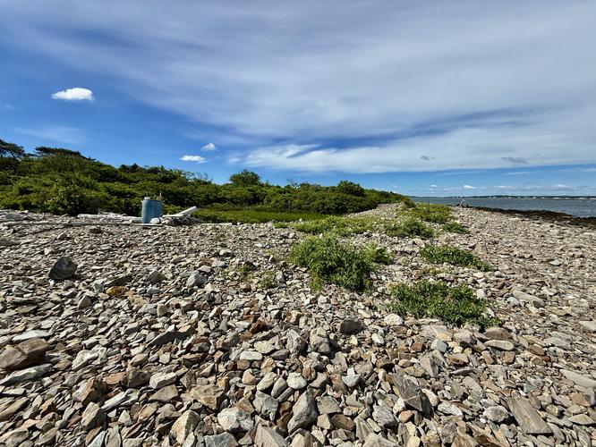 Picture 21 of Timber Point Trail June 20 2026