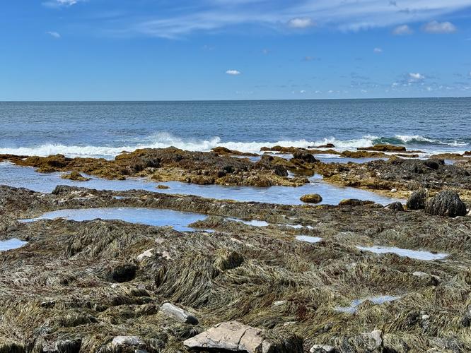Picture 27 of Timber Point Trail June 20 2026
