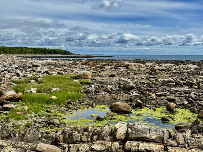 Default image for Timber Point Trail, a 2.6-mile trail in Biddeford, Maine (US)