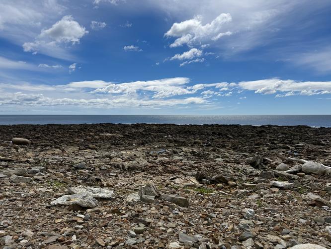 Picture 31 of Timber Point Trail June 20 2026