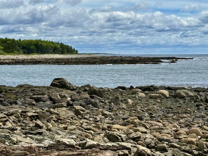 Picture 36 of Timber Point Trail June 20 2026