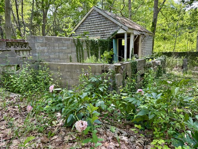 Picture 48 of Timber Point Trail June 20 2026