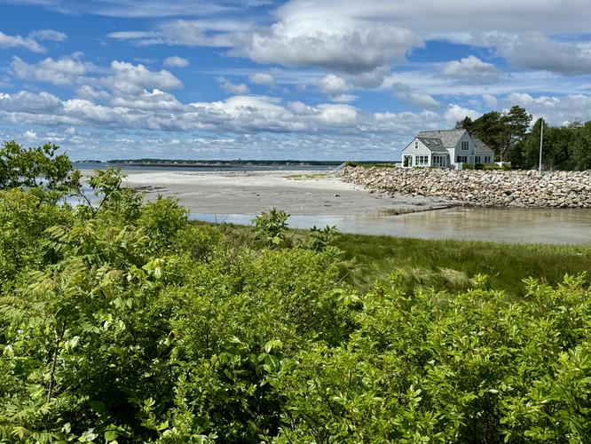 Picture 51 of Timber Point Trail June 20 2026