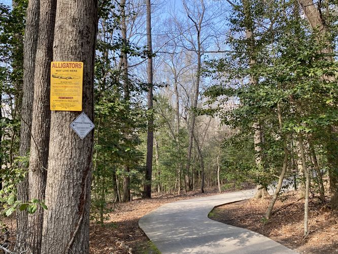 Watch out, alligators might be near. Stay on-trail