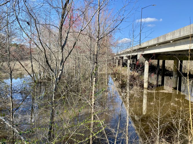 Congaree Creek below the trail