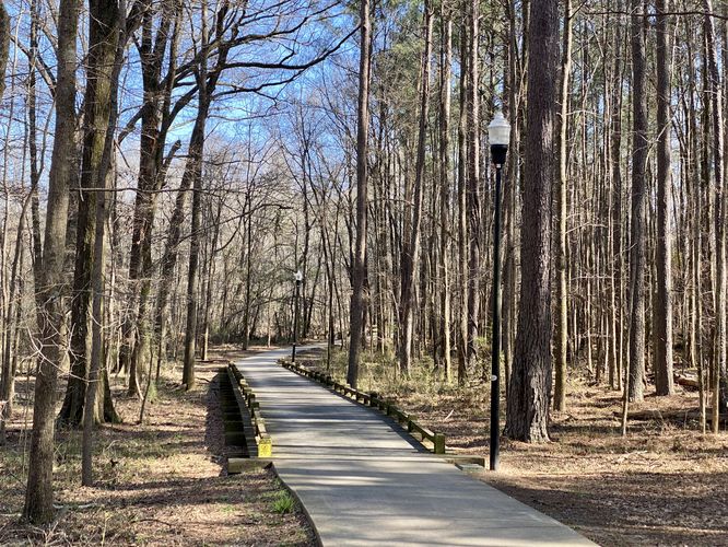 Timmerman Trail passes through the forest