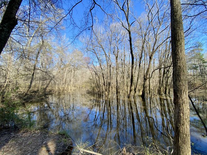 Conagree Creek view