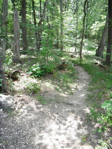 Picture 4 of Tinker Cliffs and Andy Layne Trail 062511