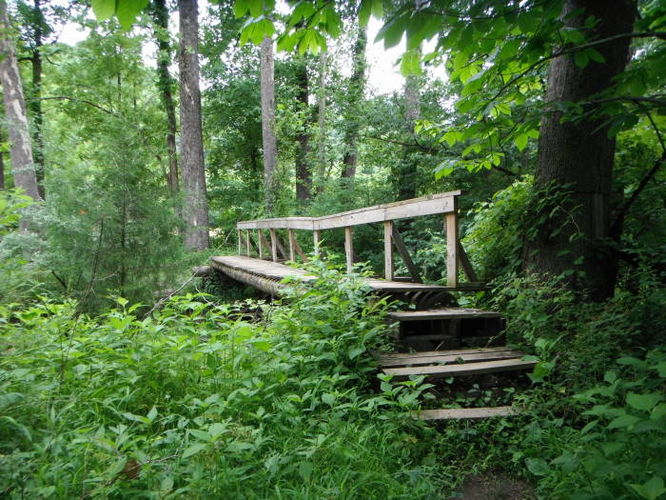 Picture 5 of Tinker Cliffs and Andy Layne Trail 062511