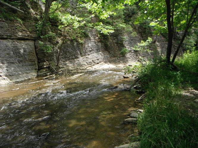 Picture 7 of Tinker Cliffs and Andy Layne Trail 062511