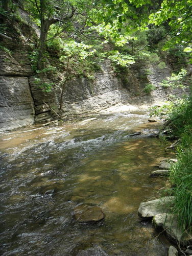Picture 8 of Tinker Cliffs and Andy Layne Trail 062511