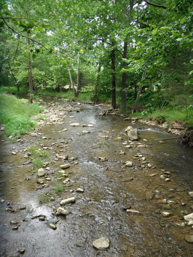 Picture 11 of Tinker Cliffs and Andy Layne Trail 062511