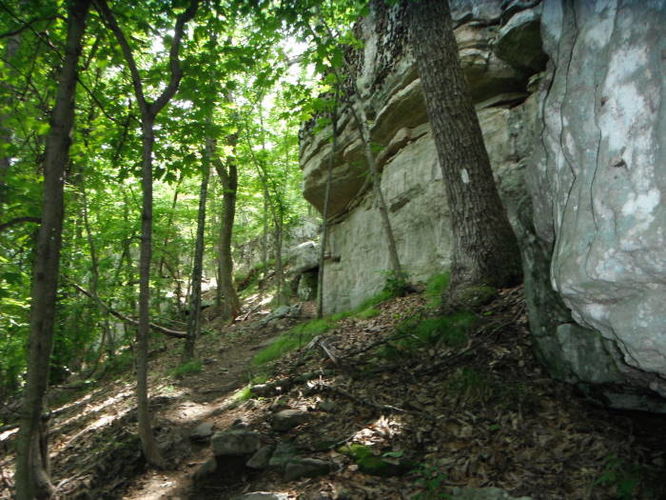 Picture 15 of Tinker Cliffs and Andy Layne Trail 062511