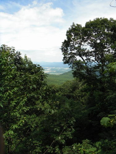 Picture 16 of Tinker Cliffs and Andy Layne Trail 062511