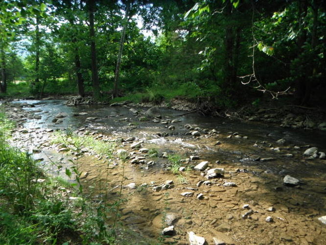 Picture 24 of Tinker Cliffs and Andy Layne Trail 062511