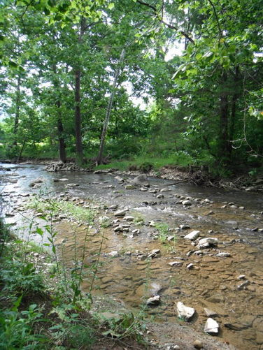 Picture 25 of Tinker Cliffs and Andy Layne Trail 062511