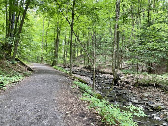 Tinker Falls Trail, NY