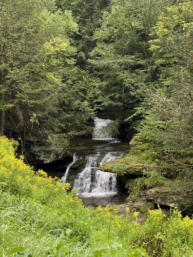 View of Tompkin Falls (from road)