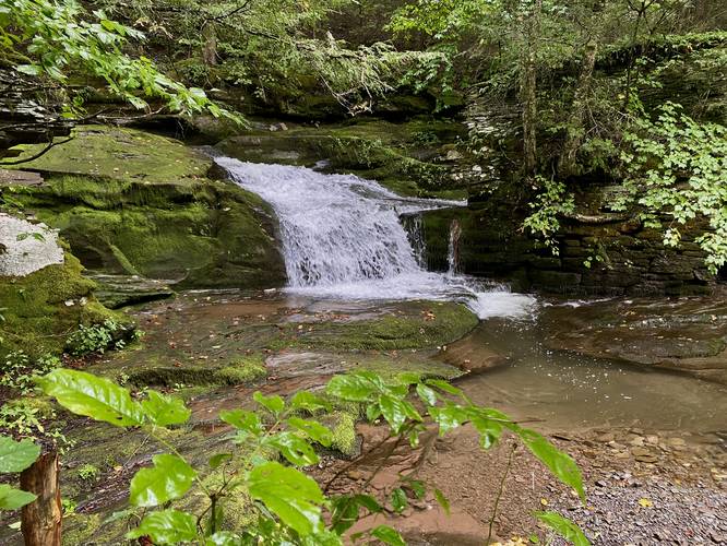 Upper Tompkin Falls