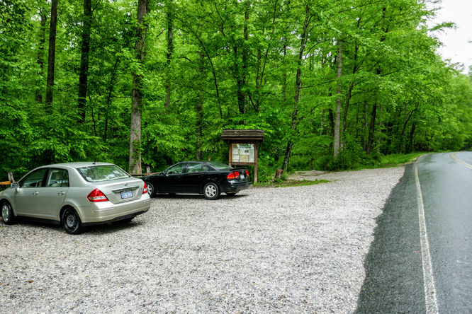Picture 2 of Toms Creek Falls Hike 050519