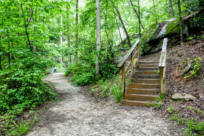 Picture 5 of Toms Creek Falls Hike 050519