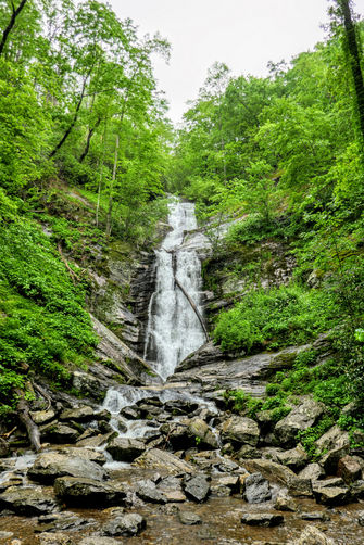 Picture 6 of Toms Creek Falls Hike 050519