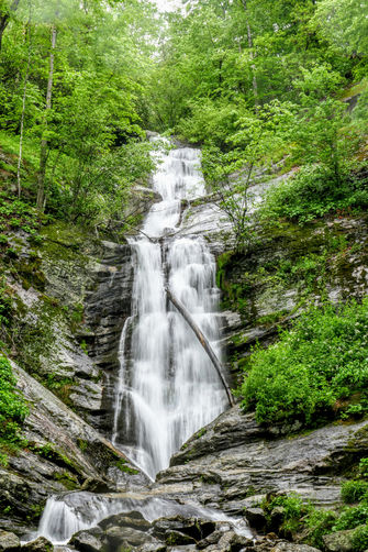 Picture 7 of Toms Creek Falls Hike 050519